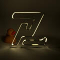 Zenith Project